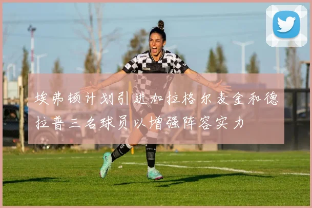 埃弗顿计划引进加拉格尔麦金和德拉普三名球员以增强阵容实力