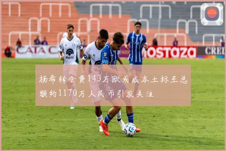 杨希转会费143万欧或成本土标王总额约1170万人民币引发关注
